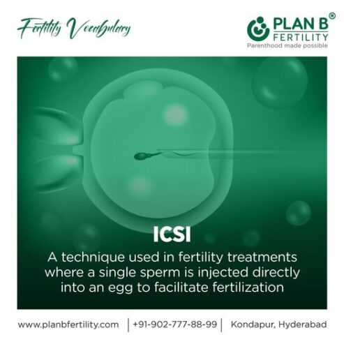 Best ICSI Treatment in Hyderabad | ICSI doctor in Hyderabad | Plan B Fertility