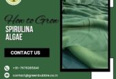 How to Grow Spirulina Algae | How to Produce Spirulina