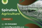 Spirulina Agriculture | Organic and Sustainable Farming Solutions