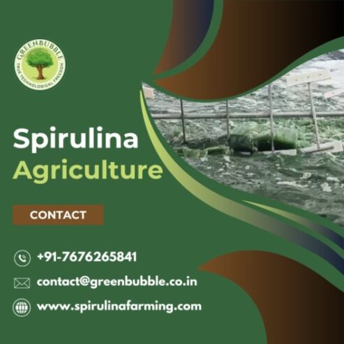 Spirulina Agriculture | Organic and Sustainable Farming Solutions