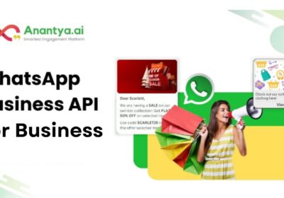 whatsapp-business-api-for-business-anantya-ai