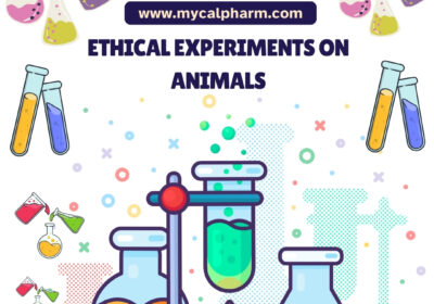 Ethical-Experiments-On-Animals-2