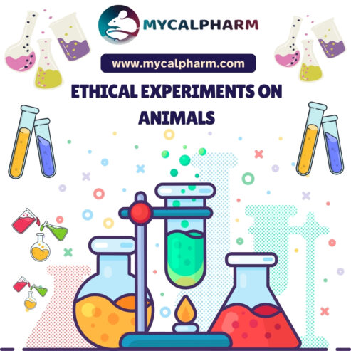 Ethical Experiments On Animals