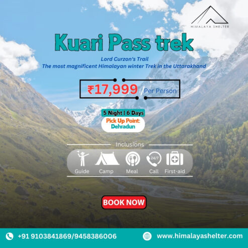 Experience the Majesty of the Himalayas – Kuari Pass Trek!