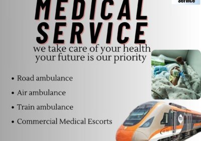 Road-ambulance-Air-ambulance-Train-ambulance-Commercial-Medical-Escorts-19