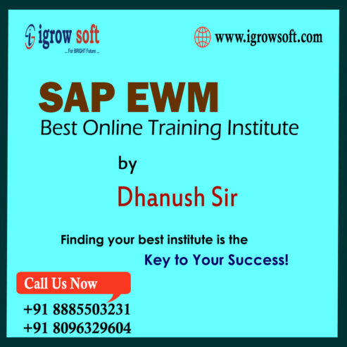 SAP EWM Training in Hyderabad | EWM Online Training | Igrowsoft