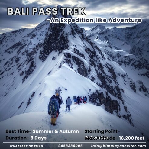 Conquer the Thrilling Bali Pass Trek – A Himalayan Adventure Awaits!