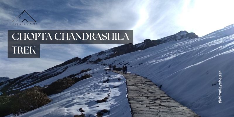 Explore the Chopta Chandrashila trek with Himalaya Shelter!