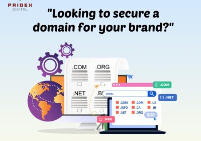 domain-reg