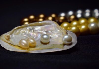 real-pearls-are-pearls-that-come-from-shellfish_154026-5915-1-1
