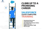 AlmaMate Info Tech – Best Salesforce Training in Noida