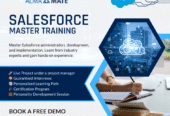 AlmaMate Info Tech – Best Salesforce Training in Noida