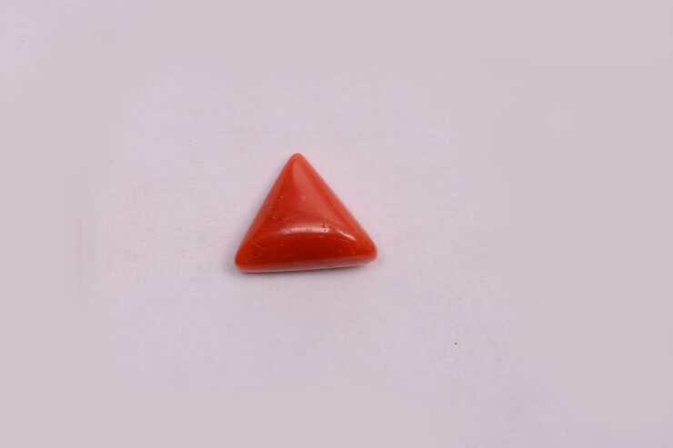 https://rishabhjains.com/product-category/coral/