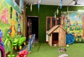 Best Playschool in Dehradun Patthri Bagh Area || Best Preschool in Patthri Bagh
