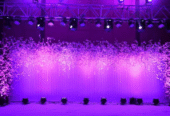 Singularies Events Private Limited – Wedding planning and Event Management Company