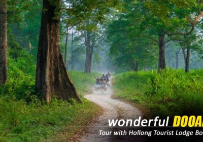 dooars-package-tour-with-jaldapara-elephant-safari