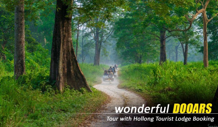 Explore Nature’s Wonders with a Dooars Tour Package with Jaldapara Elephant Safari