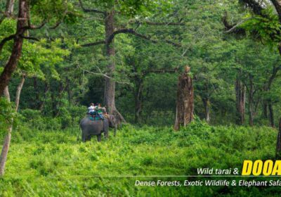 dooars-tour-package-from-kolkata