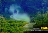 Dooars Tour Package from Kolkata – Explore the Wild Heart of North Bengal
