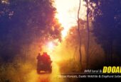 Dooars Tour Package from Kolkata – Explore the Wild Heart of North Bengal