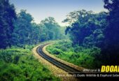Dooars Tour Package from Kolkata – Explore the Wild Heart of North Bengal