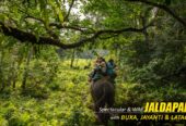Explore Nature’s Wonders with a Dooars Tour Package with Jaldapara Elephant Safari