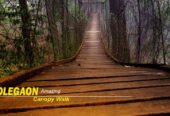Top Attractions to Explore in the Lava Lolegaon Rishop Tour Package