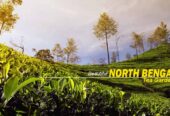 North Bengal Tour Packages for Families, Couples, and Solo Travelers