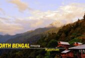 North Bengal Tour Packages for Families, Couples, and Solo Travelers