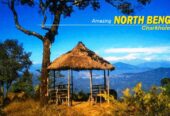 North Bengal Tour Packages for Families, Couples, and Solo Travelers
