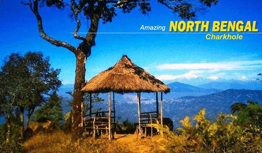North Bengal Tour Packages for Families, Couples, and Solo Travelers