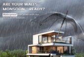 Best paint brands in Jambagh