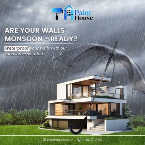 Best paint brands in Jambagh