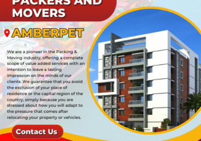 AMBERPET