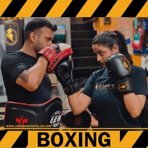 LIONS DEN FIGHT CLUB PRIVATE LIMITED