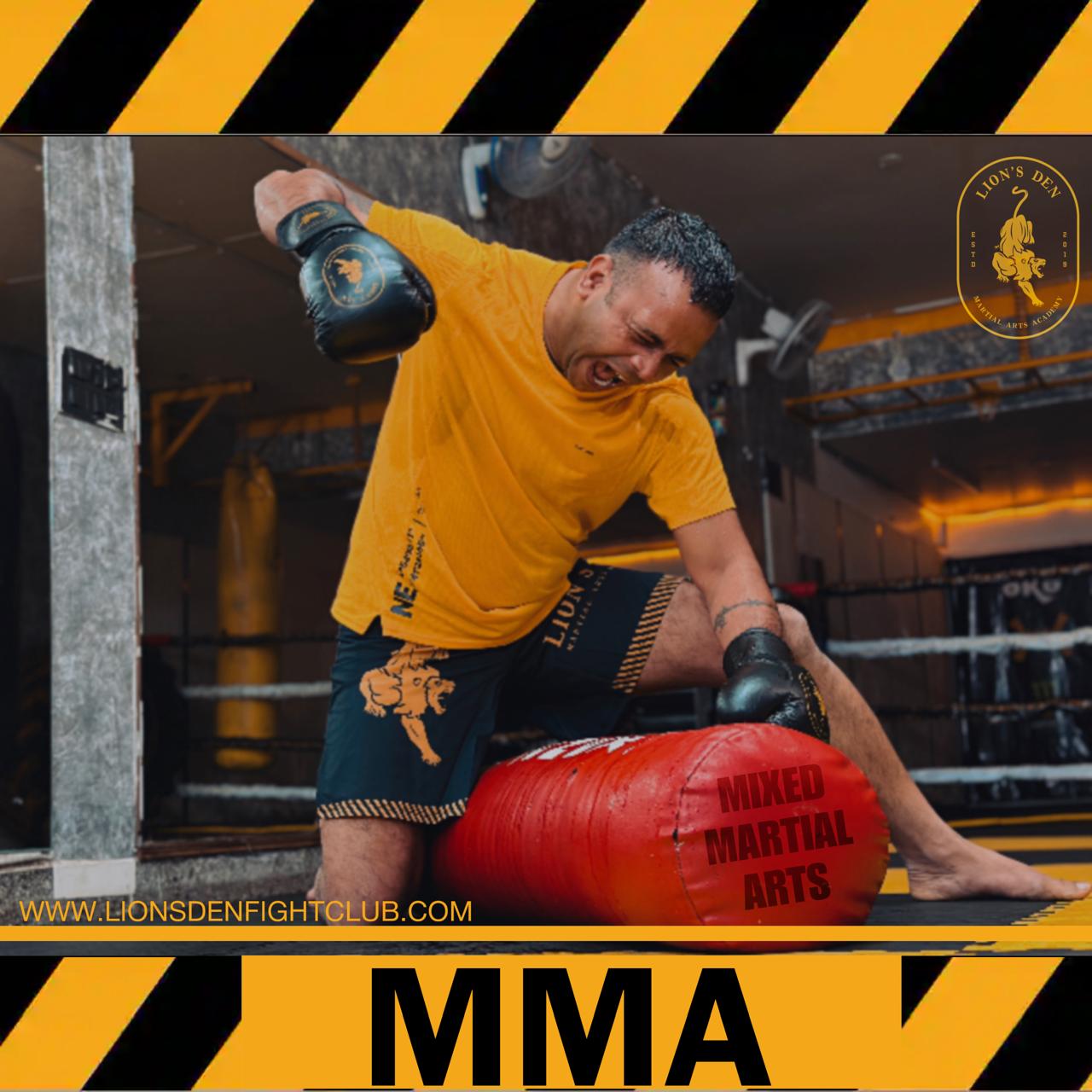 LIONS DEN FIGHT CLUB PRIVATE LIMITED