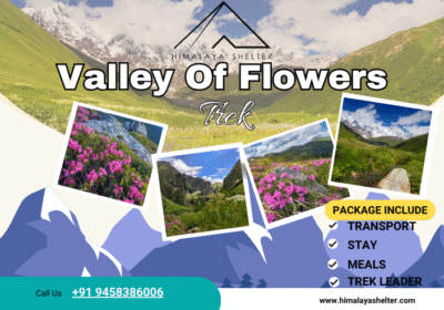 Untitled-design-12