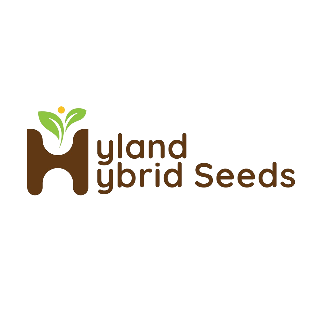Exotic vegetable seeds | Hyland Hybrid Seeds