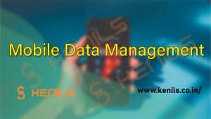 mobile-number-database-india-300×169-1