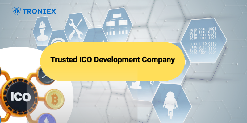 Empower Your Fundraising Journey with Expert Blockchain Solutions