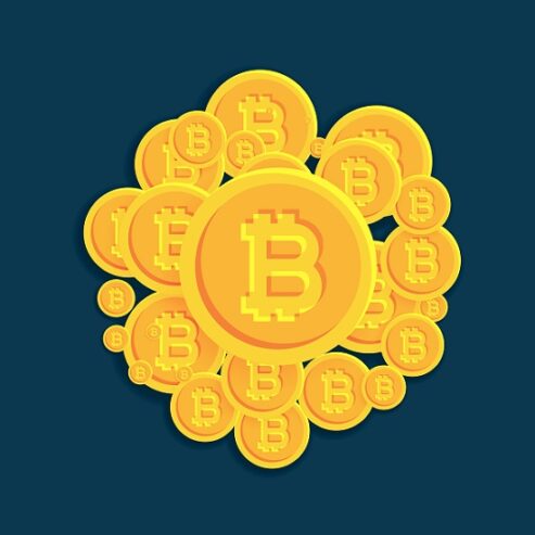 Step-by-Step Guide to Successful Meme Coin Development Projects