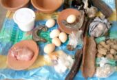 The Most Powerful SpirItual Herbalist Native Doctor IN Nigeria