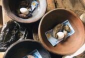 The Most Spiritual Powerful Herbalist And Native Doctor In Nigeria Ijebu Land+2347054677644