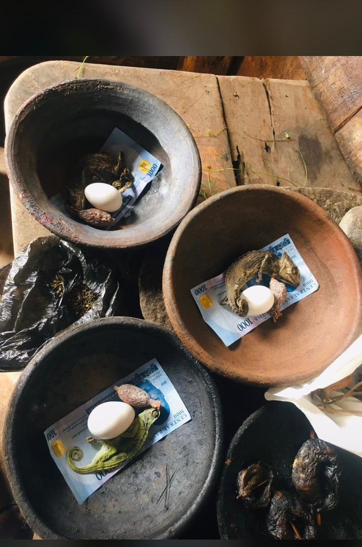 The Most Spiritual Powerful Herbalist And Native Doctor In Nigeria Ijebu Land+2347054677644