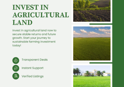 Invest-in-agriculture-land