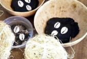 The Best Powerful SpirItual Herbalist Native Doctor IN Nigeria