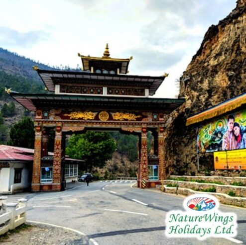 Bhutan Package Tour from Delhi: Discovering Paro, Thimphu, and Beyond