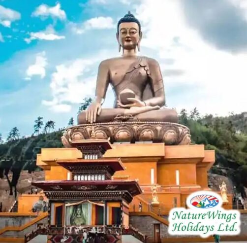 Bhutan Package Tour from Delhi: Discovering Paro, Thimphu, and Beyond