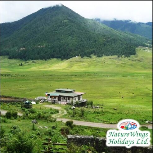 Bhutan Packages from Bangalore: Scenic Trails, Monasteries, and Himalayan Views