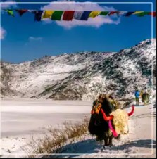 Darjeeling Gangtok Package Tour from NJP – Your Gateway to Memorable Himalayan Escapes